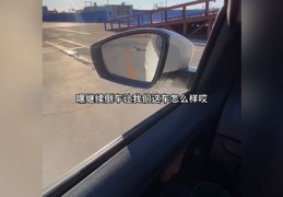 倒车入库技巧直播间,现场倒车入库视频