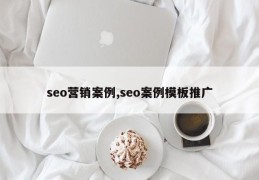 seo营销案例,seo案例模板推广