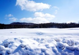 短视频教程，雪景拍摄与画法教学视频
