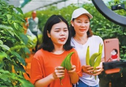 直播产品推销技巧,直播推销方案