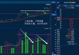 直播卖股票技巧,直播股票交易违法吗
