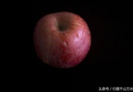 直播拍摄水果技巧,直播拍摄水果技巧有哪些