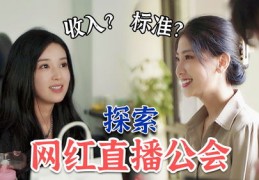网红主播赚钱秘诀，上热门背后的策略与技巧