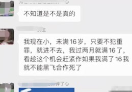 如何迅速登上热门榜，秘诀大揭秘！