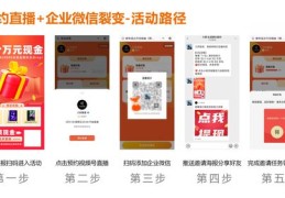 视频号直播与老虎机玩法技巧，犯罪行为的警示与解析