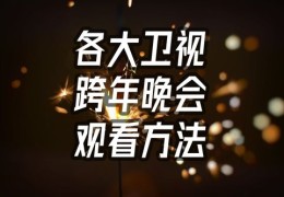 金山卫视直播技巧与电视卫士介绍