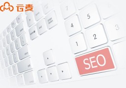 seo快速优化软件网站,seo快速优化软件网站
