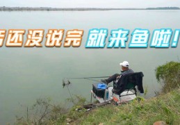 钓鱼直播攻略，技巧与所需设备