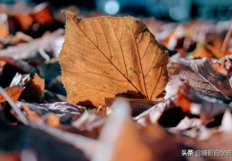 树叶直播的游戏攻略，主播树叶教你玩转小游戏与对线技巧
