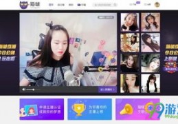 猫咪直播补光技巧,直播猫咪可以赚钱吗