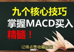 神州速成技巧直播解析，揭秘神州学习法！