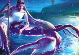 神马搜索引擎关键词排名价[神马搜索关键词排名查询]