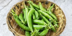 豆荚上热门攻略，轻松掌握使用技巧