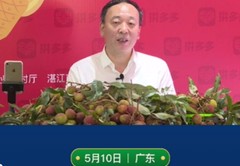荔枝直播摸鱼技巧,荔枝直播可以赚钱吗
