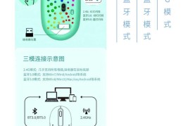 bt鹦鹉磁力的简单介绍