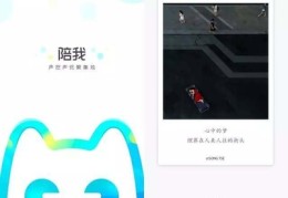 陪我直播小技巧,陪我直播小技巧大全