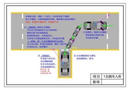 驾校技巧讲解直播,驾校技巧讲解直播视频