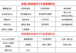 云直播授课技巧,云平台直播课程教学