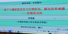 三农领域如何迅速走红，秘诀揭秘，轻松上热门！
