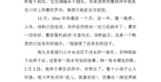 软文推广300字,软文推广范例500字