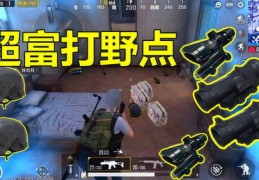 刺激战场直播打野技巧视频,刺激战场如何直播