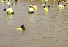 鱼池如何吸引热门关注，避免混水秘诀揭秘