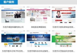 东莞网站seo优化,东莞网站seo技术