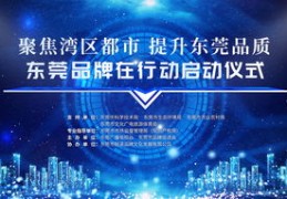 东莞电视台直播技巧,东莞电视台一套直播
