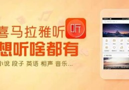 荔枝英语直播技巧,荔枝英语怎么讲