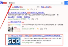 百度关键词优化优质转化,百度关键词优化师
