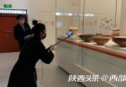 直播买文物技巧,直播买文物技巧视频
