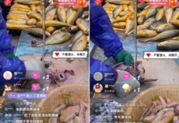 海鲜直播间技巧,海鲜美食直播