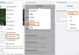 设置直播讲解技巧,怎么调直播