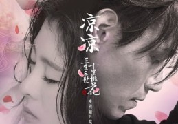 抖音热门影视剧寻找指南