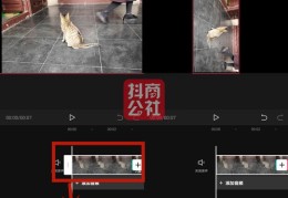 揭秘抖音视频热门秘诀，如何让你的视频在抖音上走红？