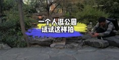 一个人怎么逛公园拍摄教程 VS 三脚架拍摄机怎么用教程