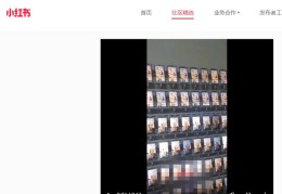 小红书直播投放技巧,小红书直播怎么赚钱