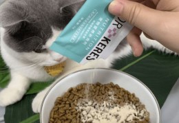 如何增粉和上热门
