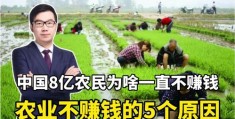 农民如何上热门挣钱，揭秘农民赚钱新途径，2021年赚钱攻略！