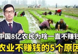 农民如何上热门挣钱，揭秘农民赚钱新途径，2021年赚钱攻略！