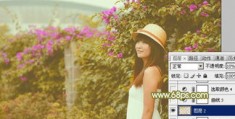 拍摄一片花怎么拍视频教程 VS 一个人怎么拍摄樱花校园教程