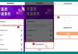 关于快手平台直播的技巧与方法的信息