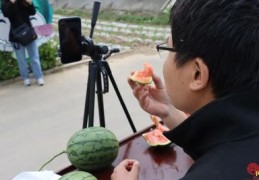 西瓜直播涨人气技巧,西瓜直播怎么涨人气的方法