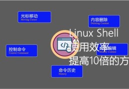 功夫直播技巧全解析，提升直播效果的秘诀视频直播