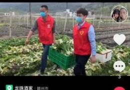 农产品直播推销技巧,农产品直播推销技巧和方法