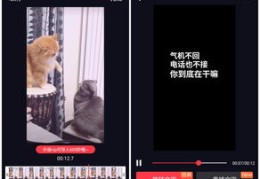 抖音上热门秘诀，吸引粉丝的实用技巧