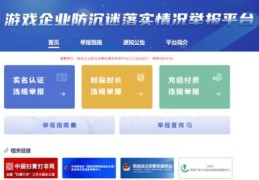 举报如何成功引起热门平台关注，策略与技巧