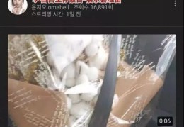 油管直播技巧,如何在油管上直播