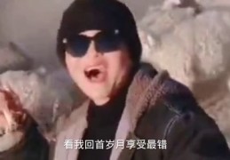 搞笑类视频如何走红并赚钱，秘诀大揭秘！