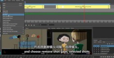 怎么拍摄动画图片视频教程 VS 一个人怎么拍摄樱花校园教程